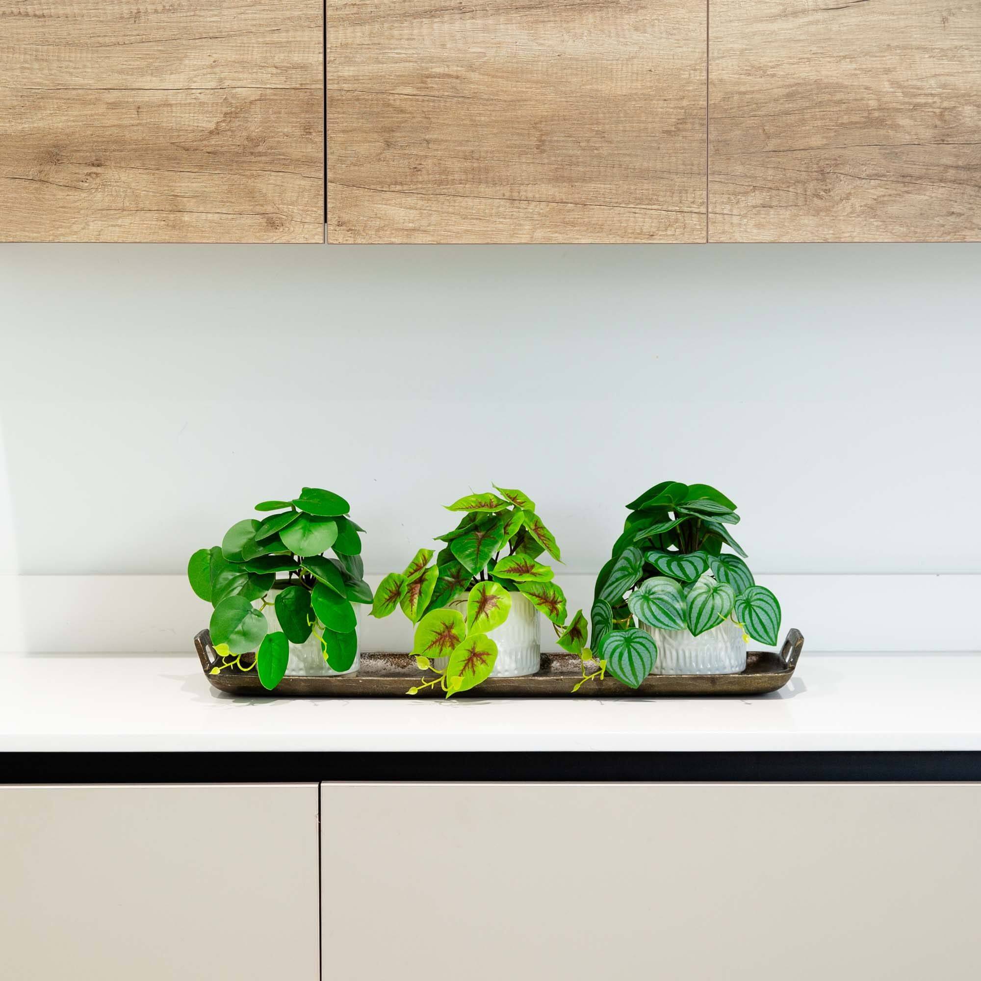 8" Mixed Greenery in Ceramic Planters Set